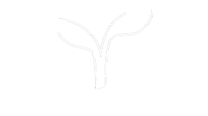 Green Solutions LLC